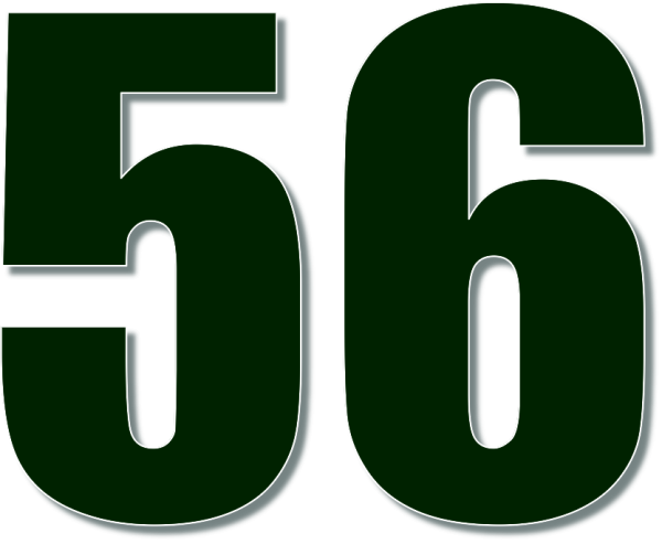 56 Число