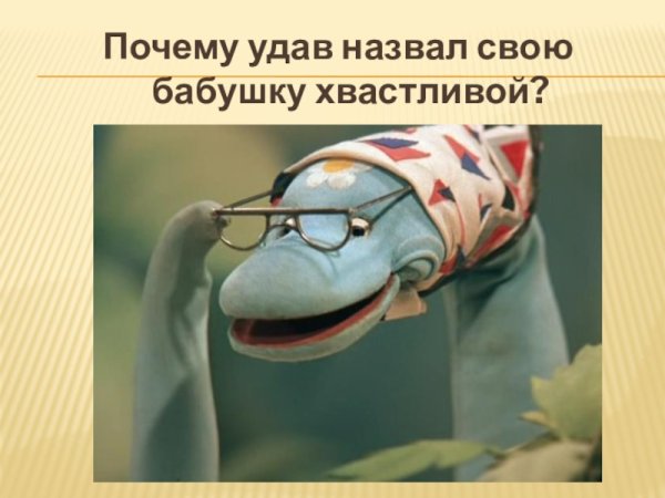 Бабушка удава из 38 попугаев