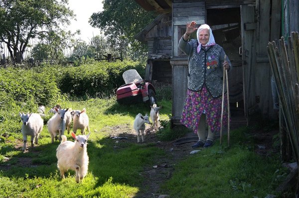 Лето у бабушки в деревне