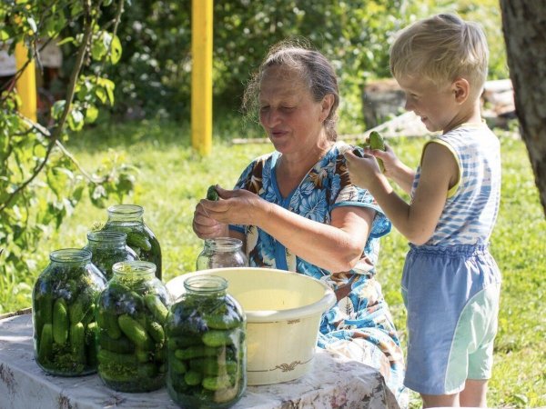 Лето у бабушки в деревне