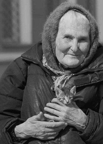 Бабушка с котенком