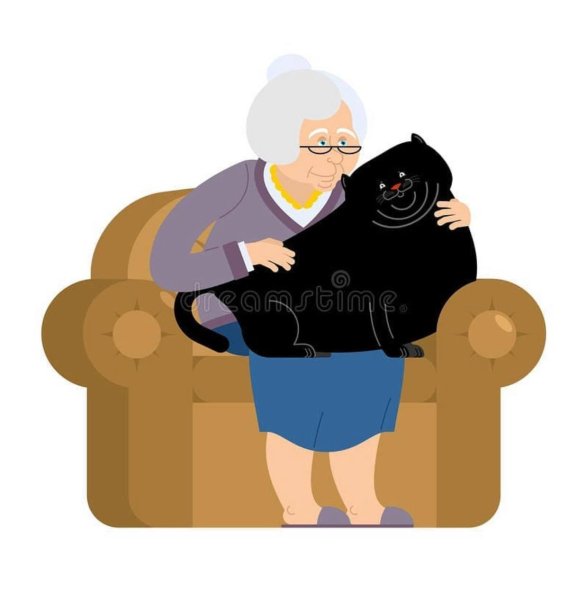 Мультяшная бабушка с котом