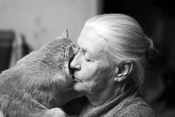 Пожилая женщина с котиком