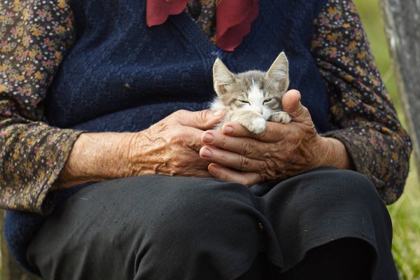 Бабушка с кошкой на руках