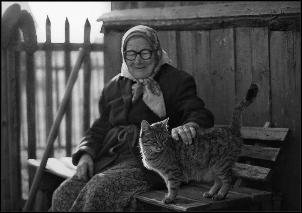 Старушка с котом