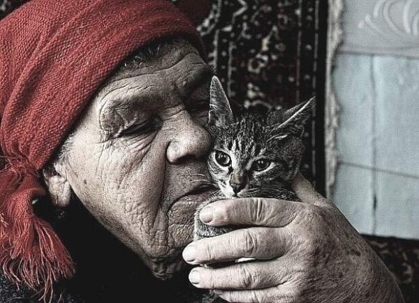 Старушка с кошкой