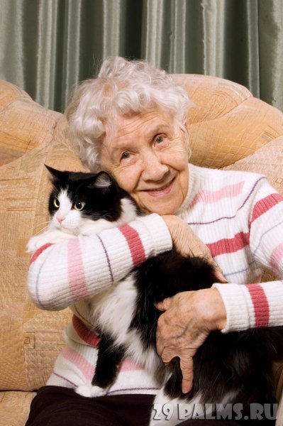 Картинки бабушка с котенком (47 фото)
