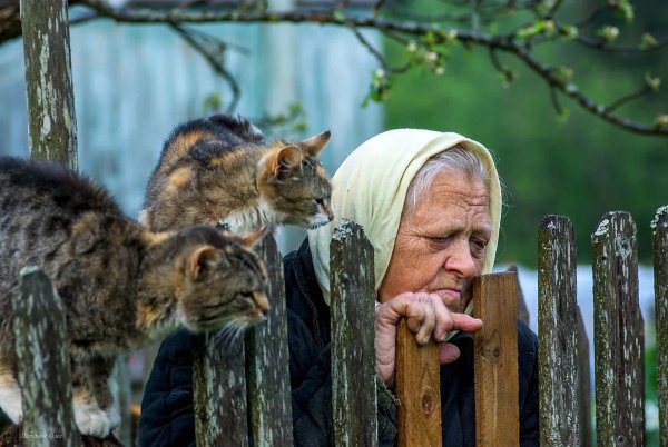 Бабушка и кот в деревне