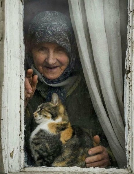 Старуха и кот