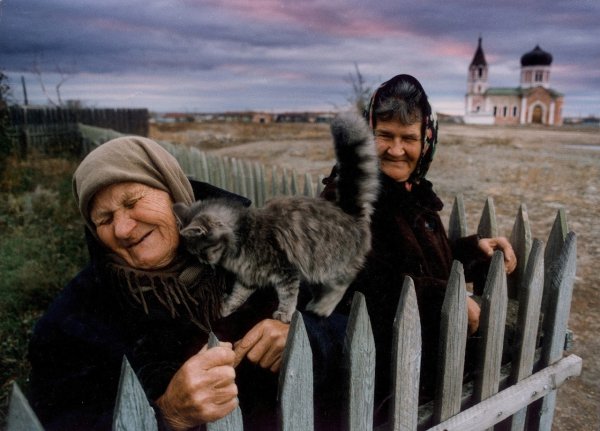 Бабушка и кот в деревне