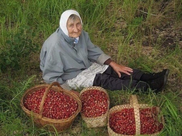 Бабка продает ягоды