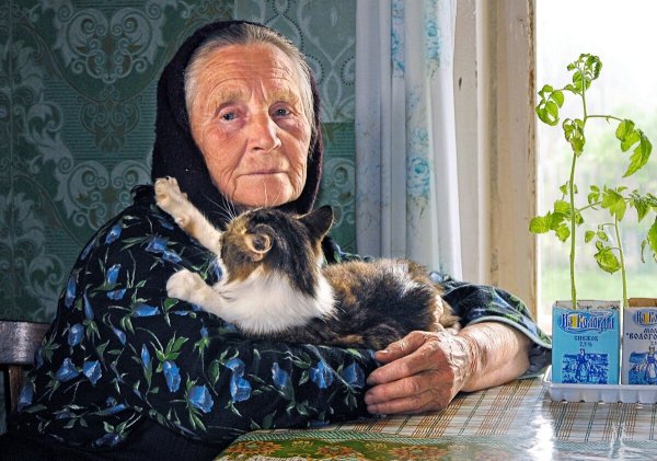 Бабушка с котенком
