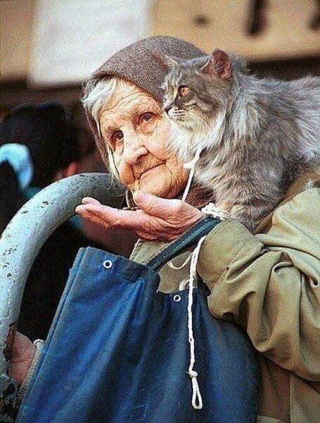 Бабушка с котенком