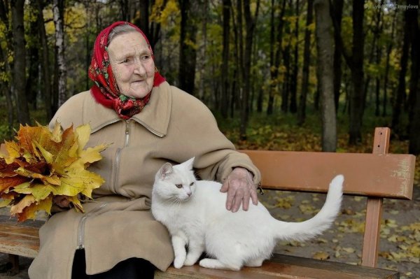 Бабушка с кошкой