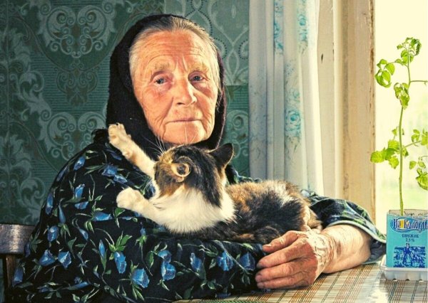 Бабушка с котенком
