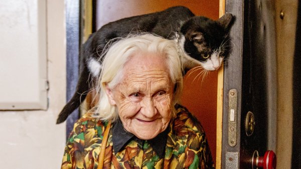 Бабуля с кошкой