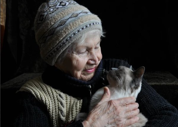 Старуха и кот