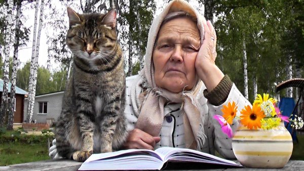 Старушка с котом