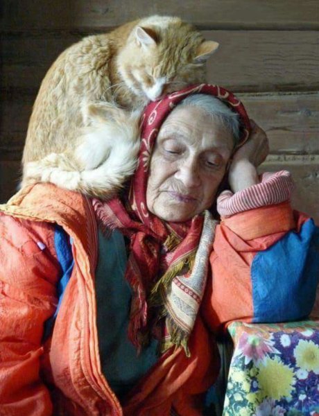 Бабушка с котиком
