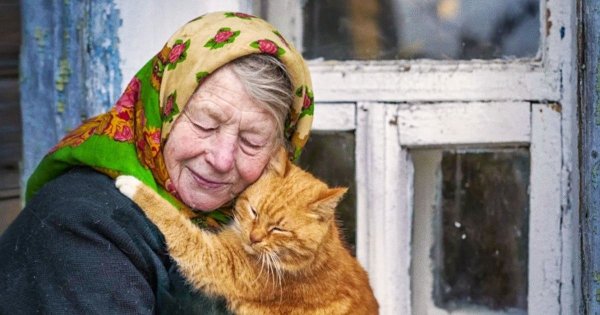 Старушка с котом