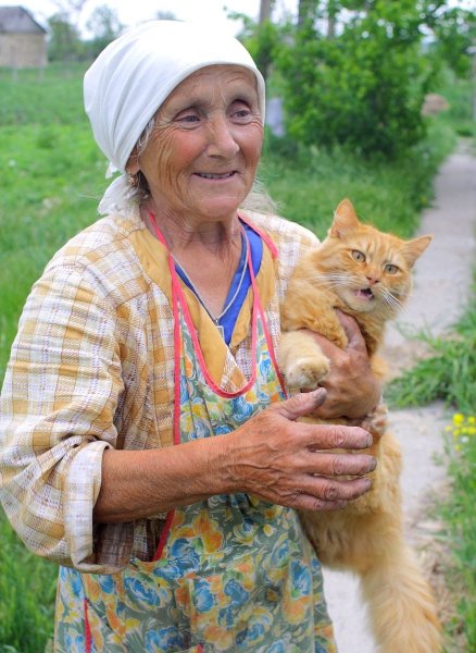 Старушка с котом