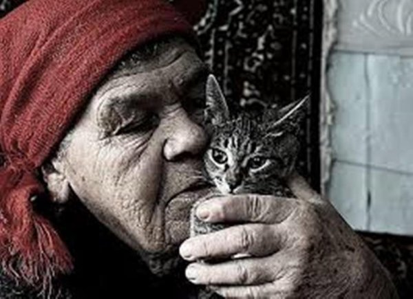 Бабушка с котом на руках