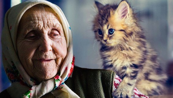 Бабушка с котенком