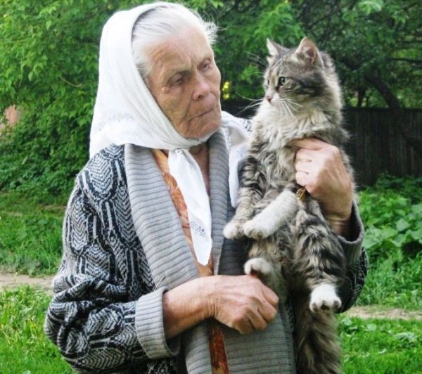 Старушка с кошкой