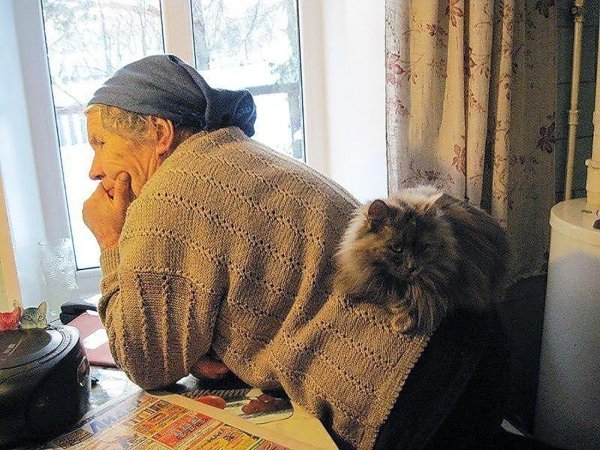 Старуха и кот