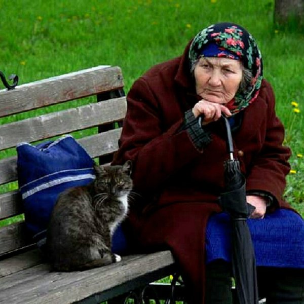 Бабушки на лавочке