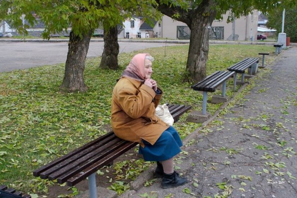 Бабушка сидит на скамейке