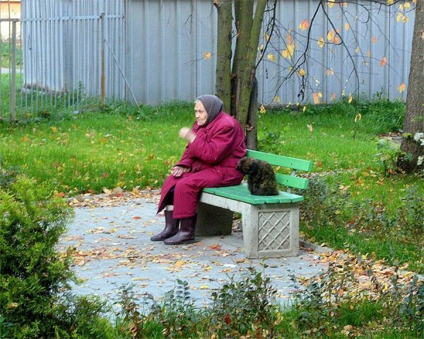 Бабушки на лавочке