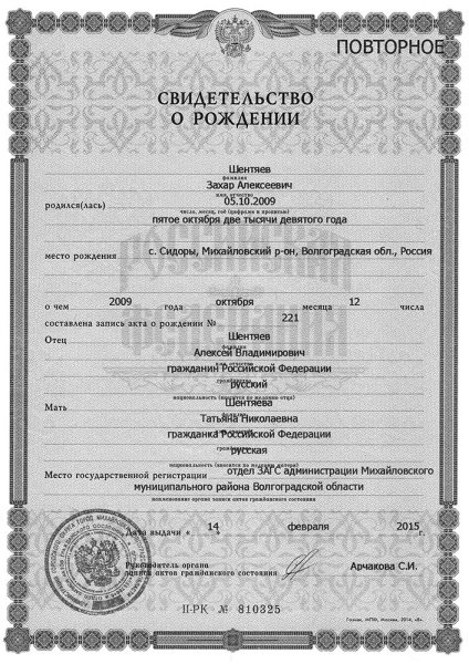 Свидетельство о рождении ребенка 2009 года