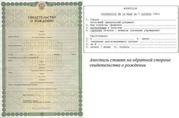 Образец свидетельства о рождении ребенка РФ