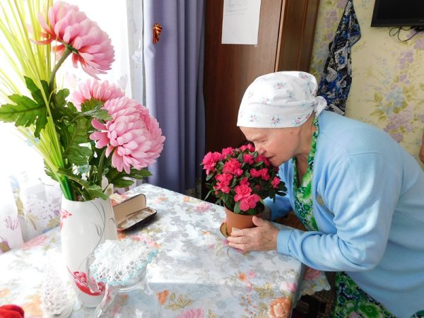 Цветы для бабушки