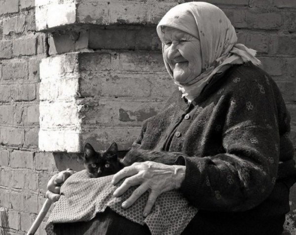 Картинки бабушка с котом (46 фото)
