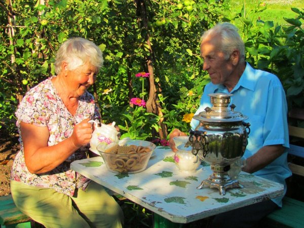 Пенсионеры на даче
