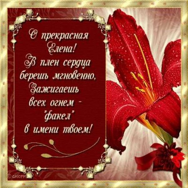 Поздравления с днём рождения Елене