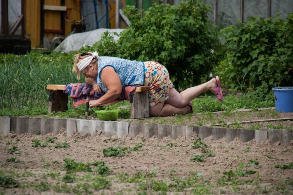 Бабы в огороде