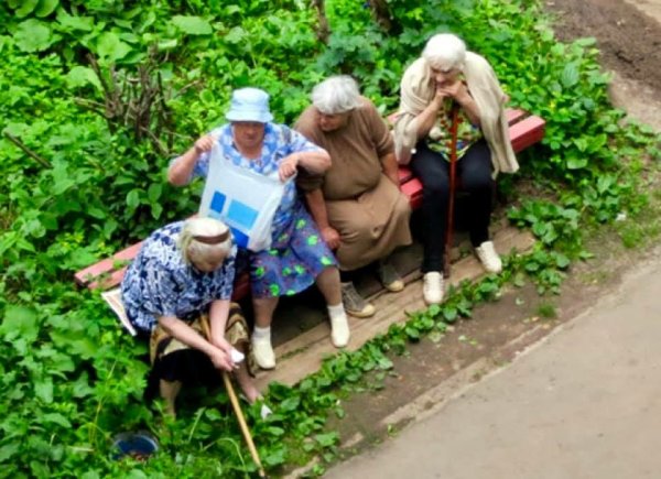 Бабки на грядках
