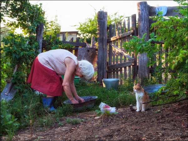 Бабушка в огороде