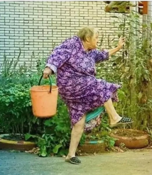 Бабка в огороде
