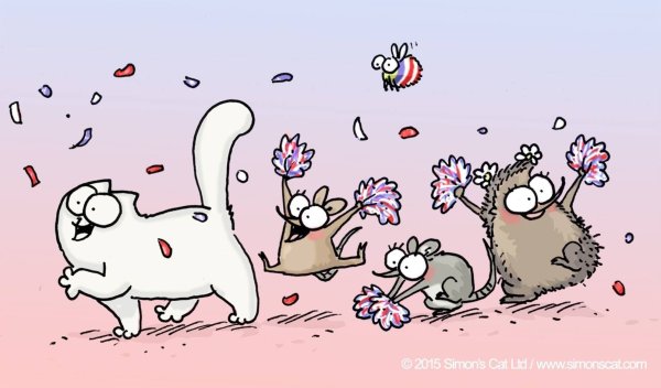 Кот Саймон с днем рождения
