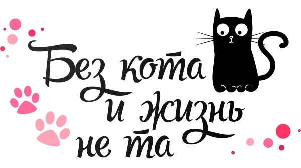 Котики с надписями