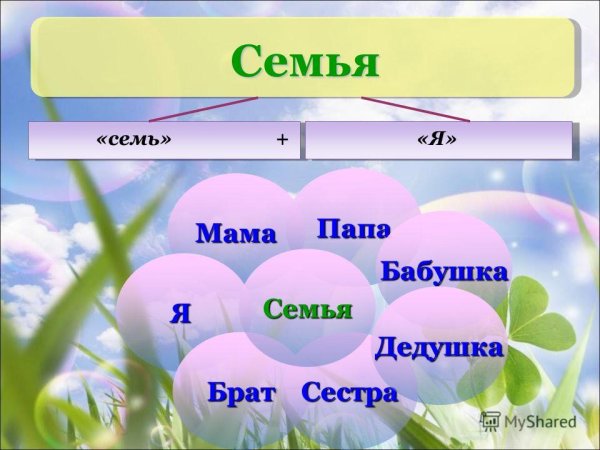 Семья мама папа бабушка дедушка брат сестра я