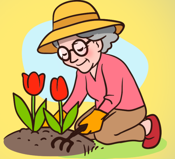 Бабушка сажает цветы