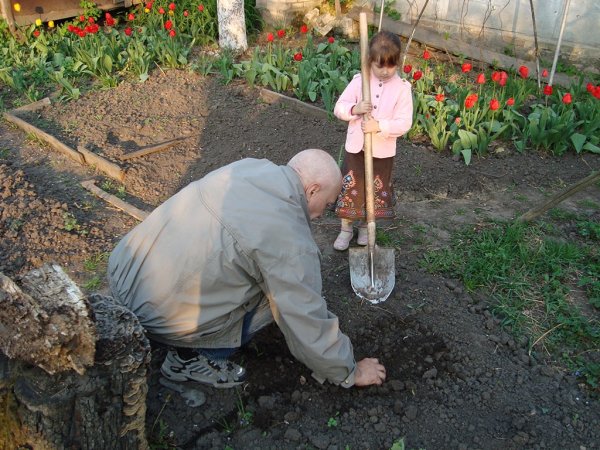 Дед в огороде