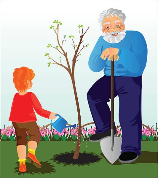 Дед с внуком сажают дерево