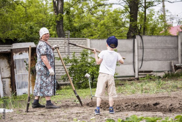 Бабушка с внуками в деревне