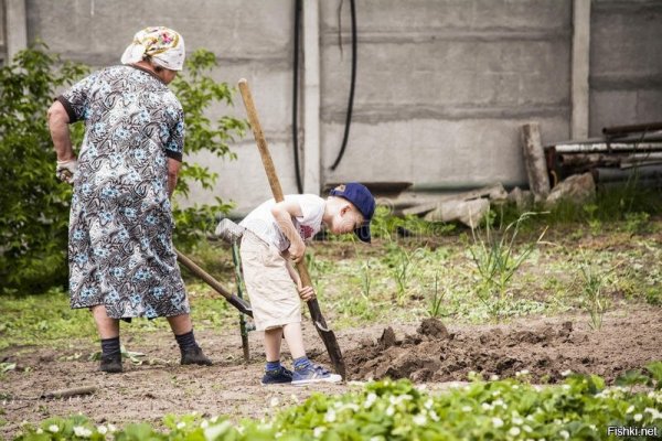 Бабка с внуками в огороде